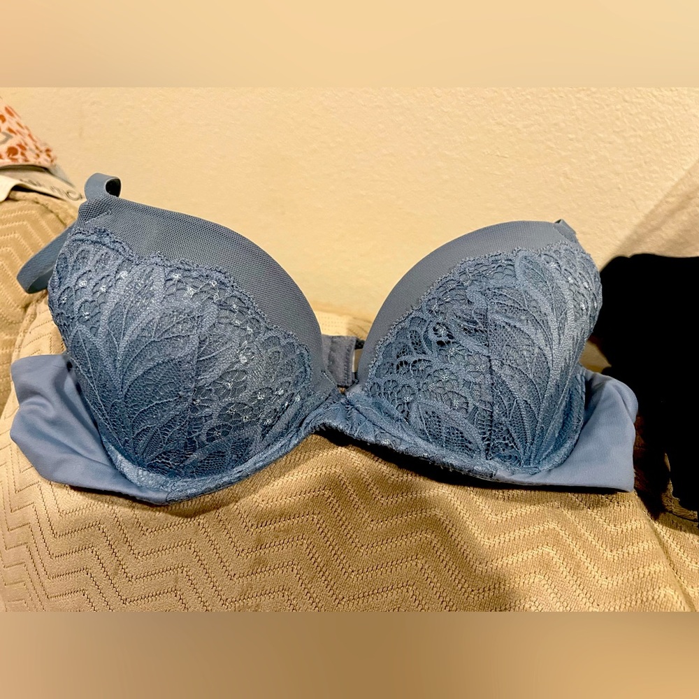 Blue Lace Women's Bra